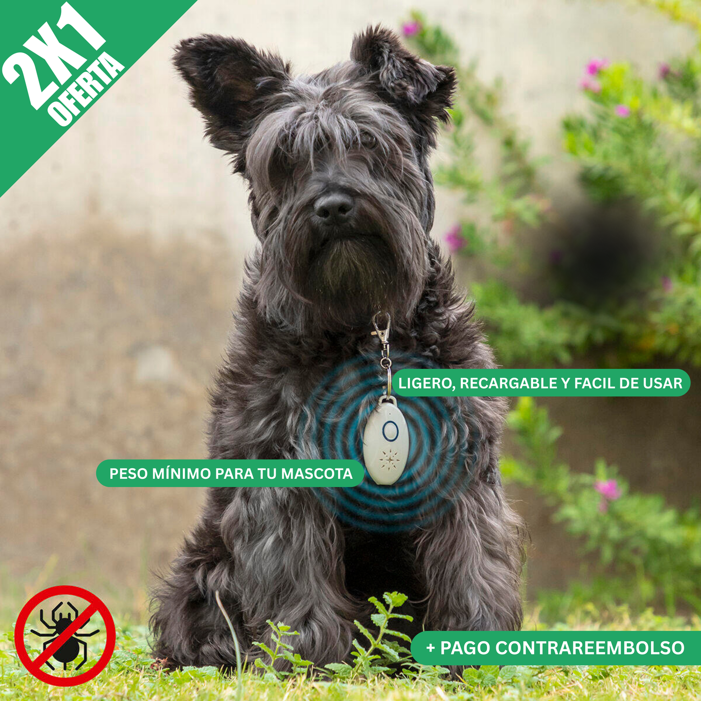 [2x1] AMICURA® - Repelente de Parásitos Ultrasónico para Mascotas